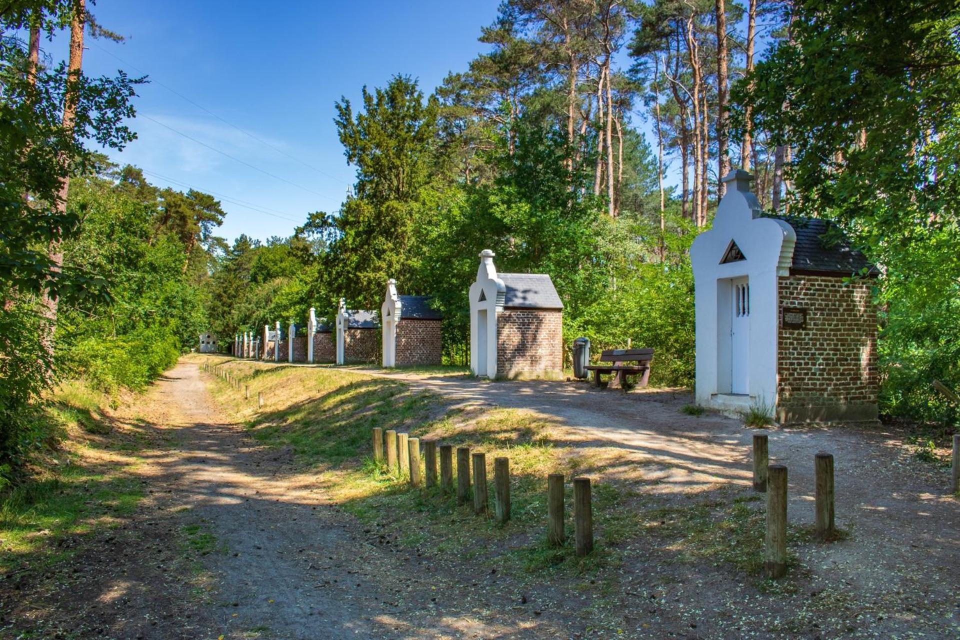 Bed and Breakfast De Wilden Ezel Мол Екстер'єр фото