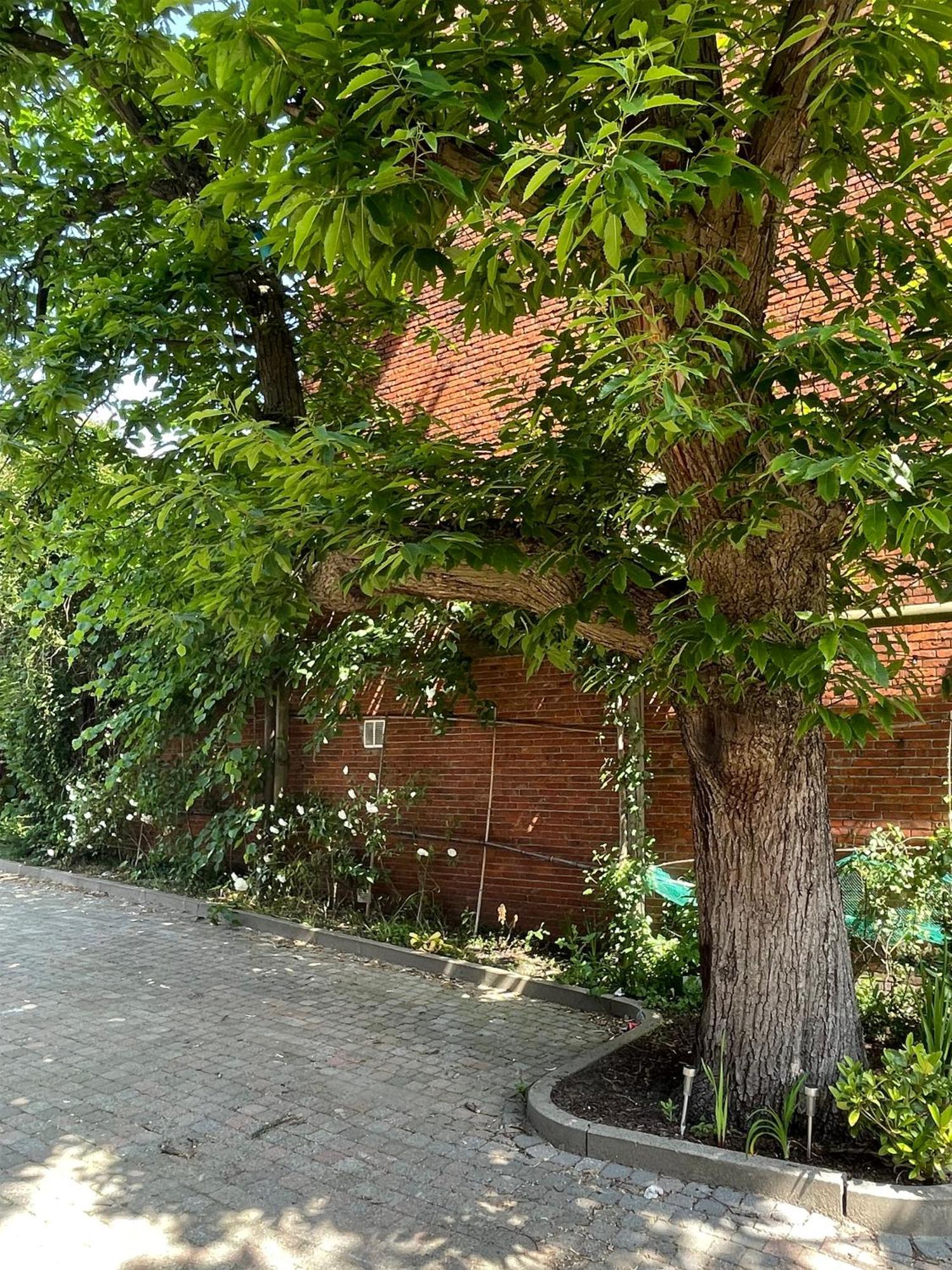 Bed and Breakfast De Wilden Ezel Мол Екстер'єр фото
